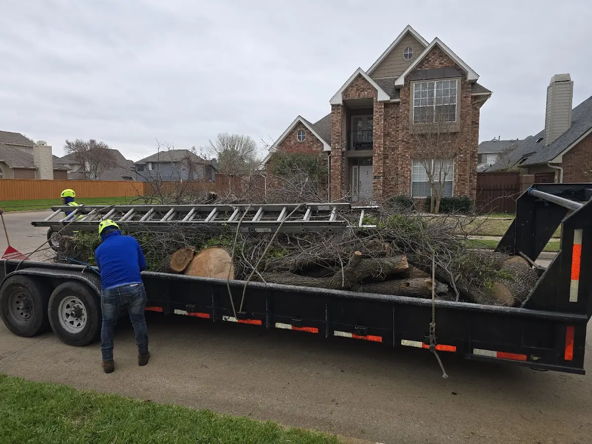 Expert Lot Clearing with proper safety equipment in Indian